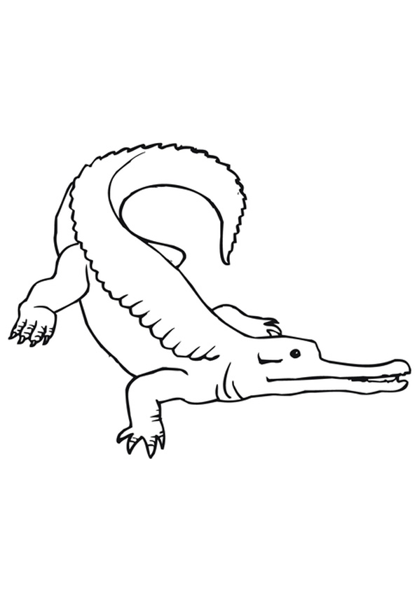 Coloring pages alligator coloring pages for kids
