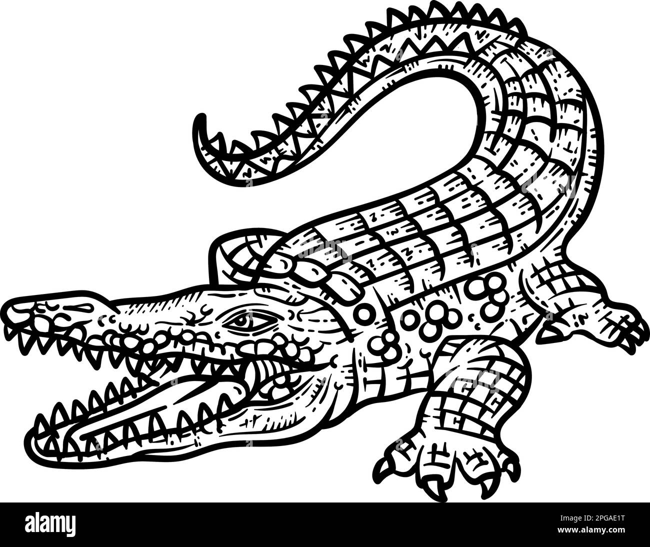 Crocodile drawing black and white stock photos images
