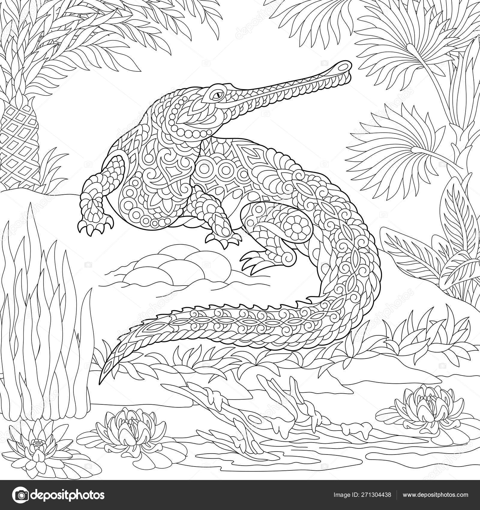 Zentangle gharial crocodile coloring page stock vector by sybirko