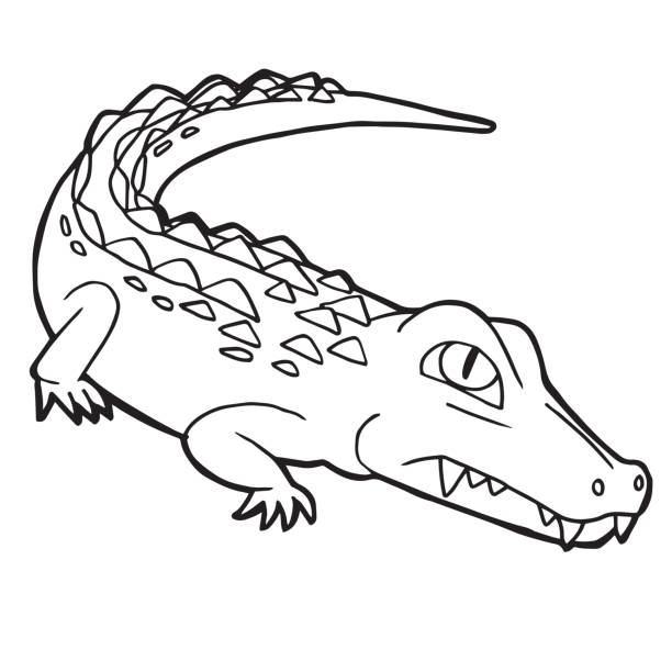 Cartoon cute crocodile coloring page vector illustration stock illustration