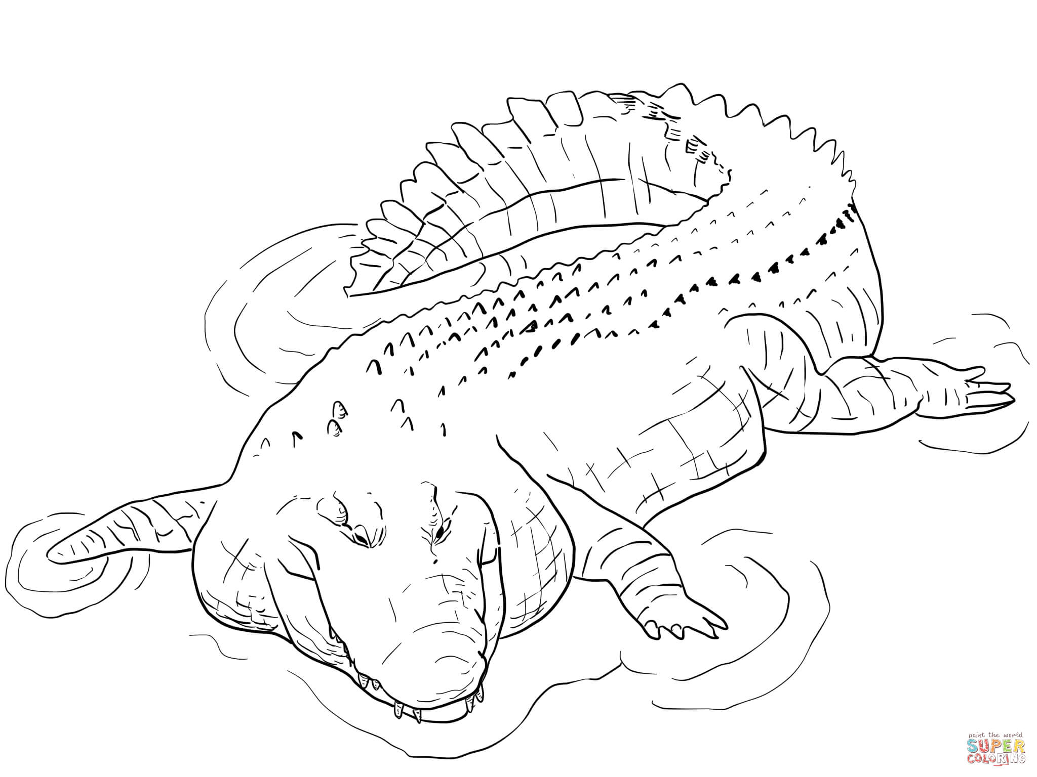 Indo pacific saltwater crocodile coloring page free printable coloring pages