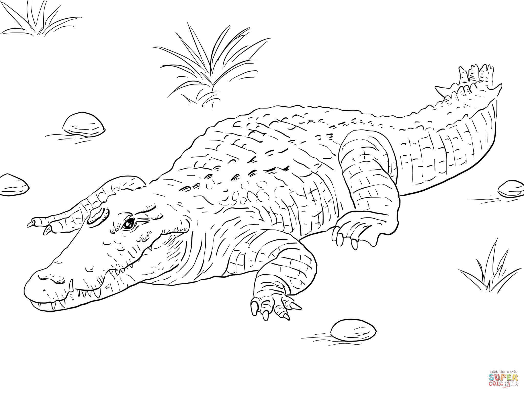 African nile crocodile coloring page free printable coloring pages