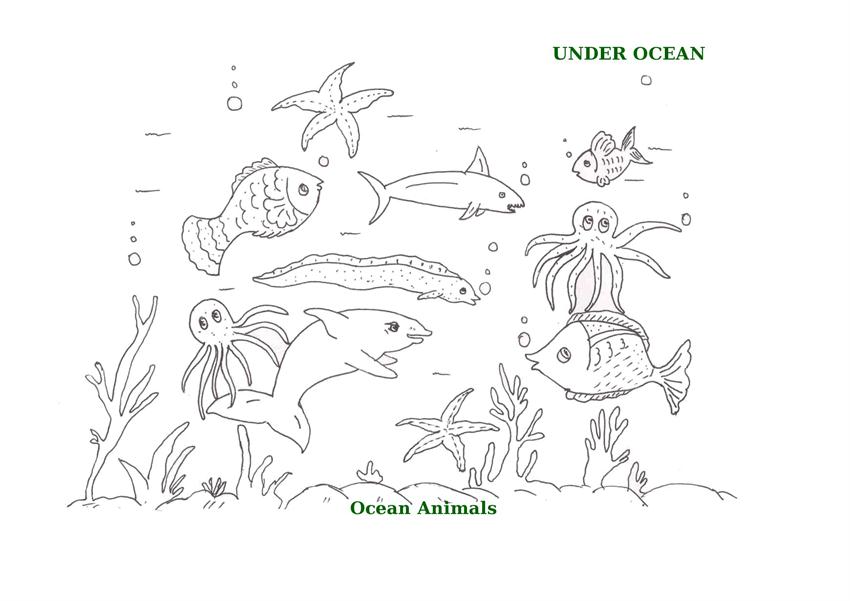 Ocean animals printable coloring pages for kids