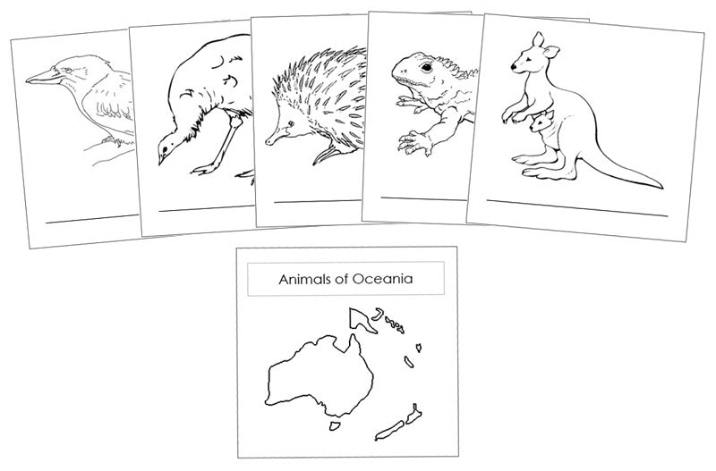 Animals of the continents booklets