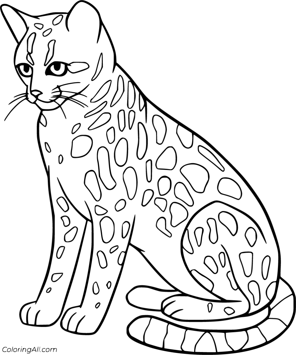 Free printable ocelot coloring pages easy to print from any device and automatically fit any paper size elephant coloring page coloring pages ocelot