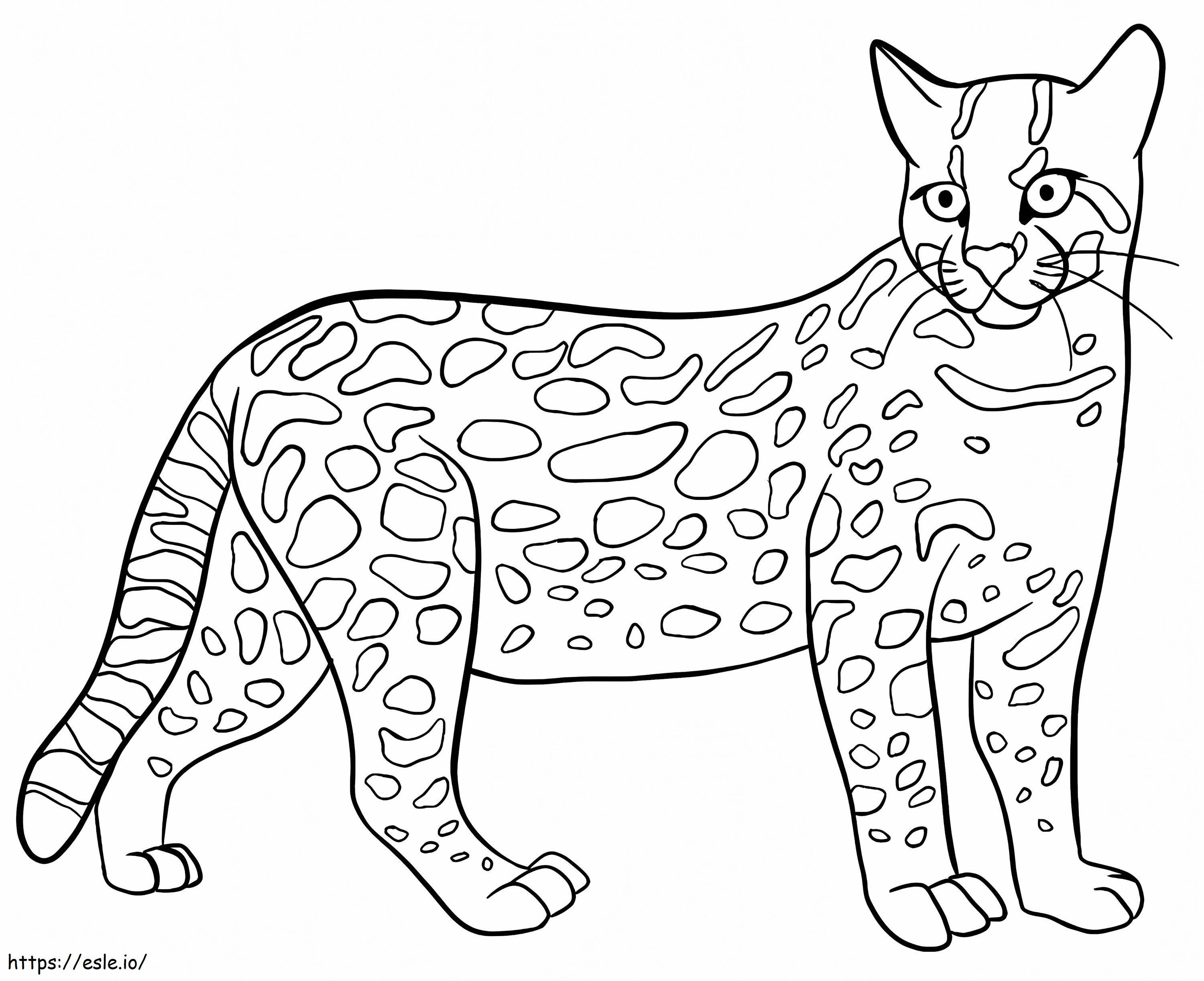 Ocelot wild cat coloring page
