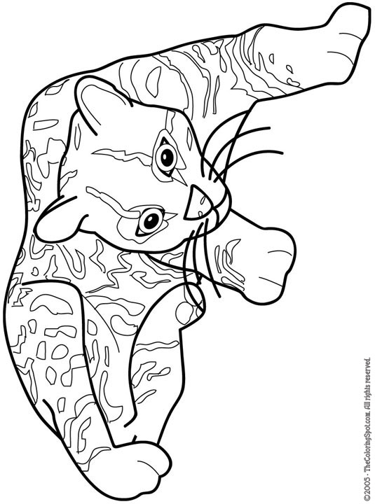 Ocelot coloring page audio stories for kids free coloring pages colouring printables