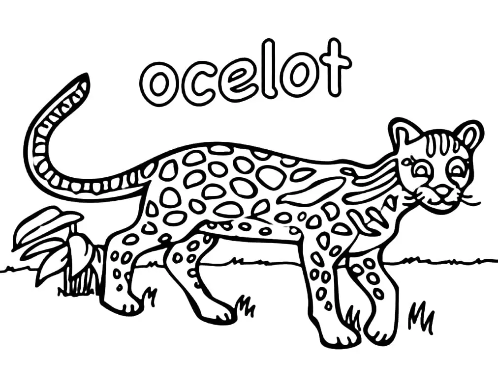 Funny ocelot coloring page