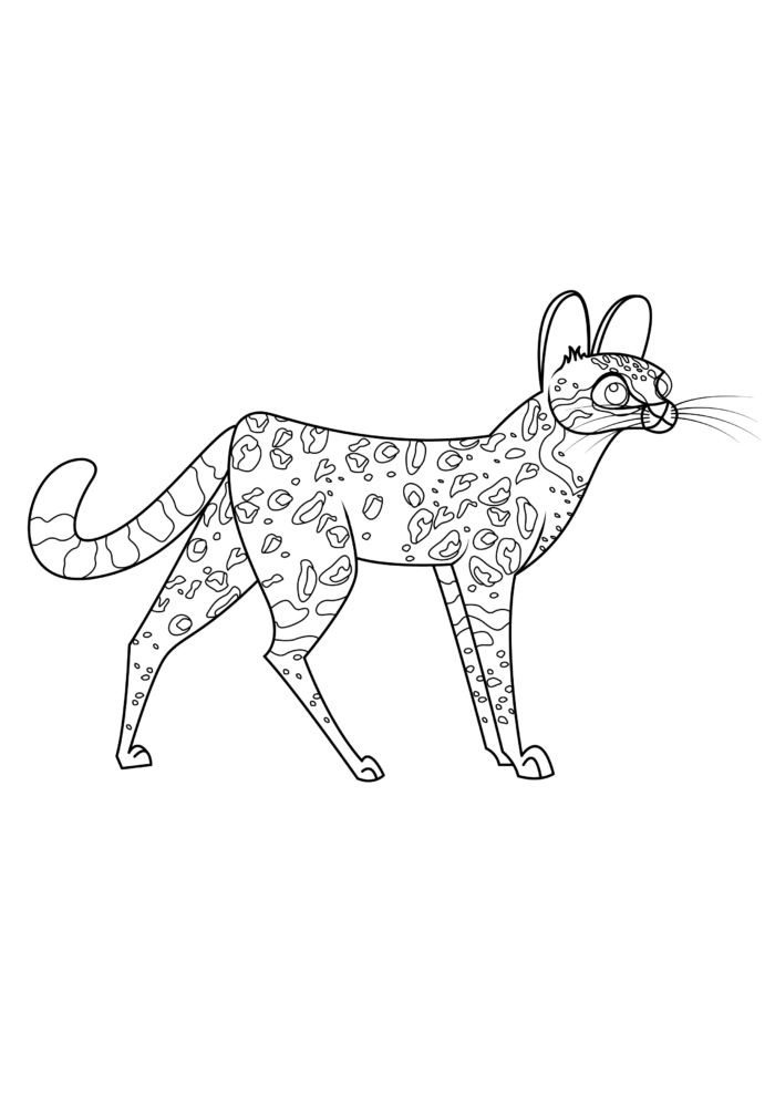Ocelot coloring pages