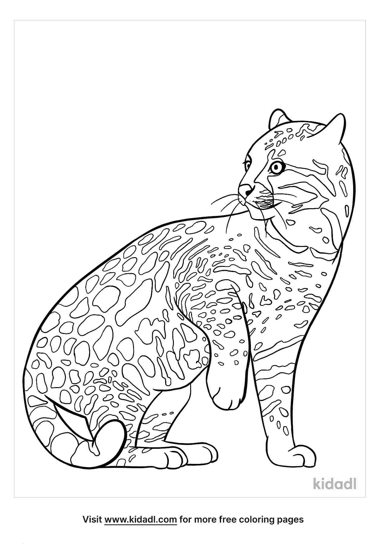Free ocelot coloring page coloring page printables