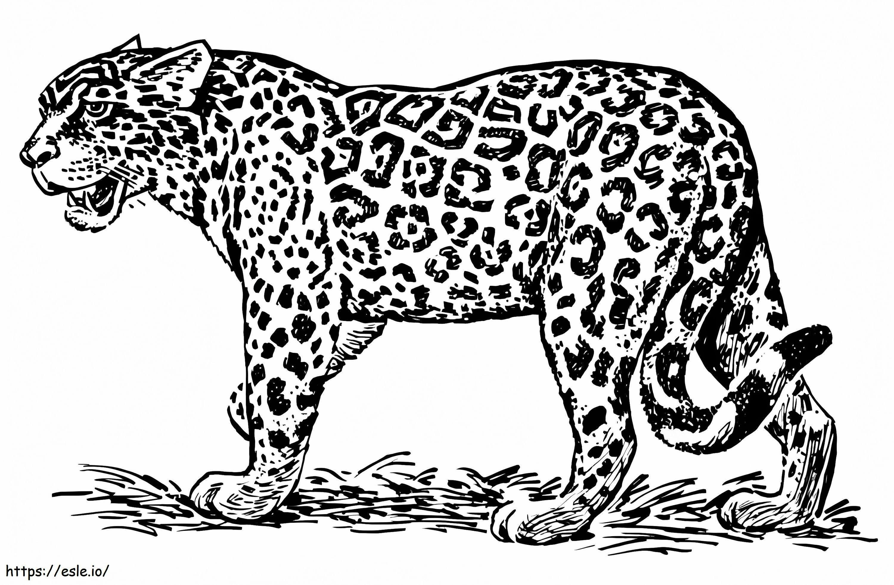 Free printable ocelot coloring page