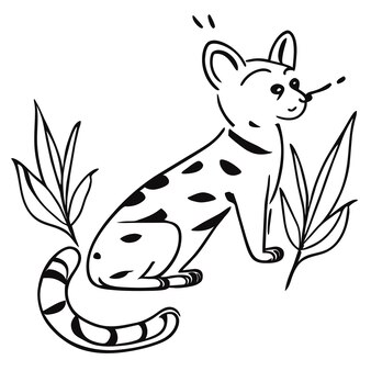Page ocelot drawing images