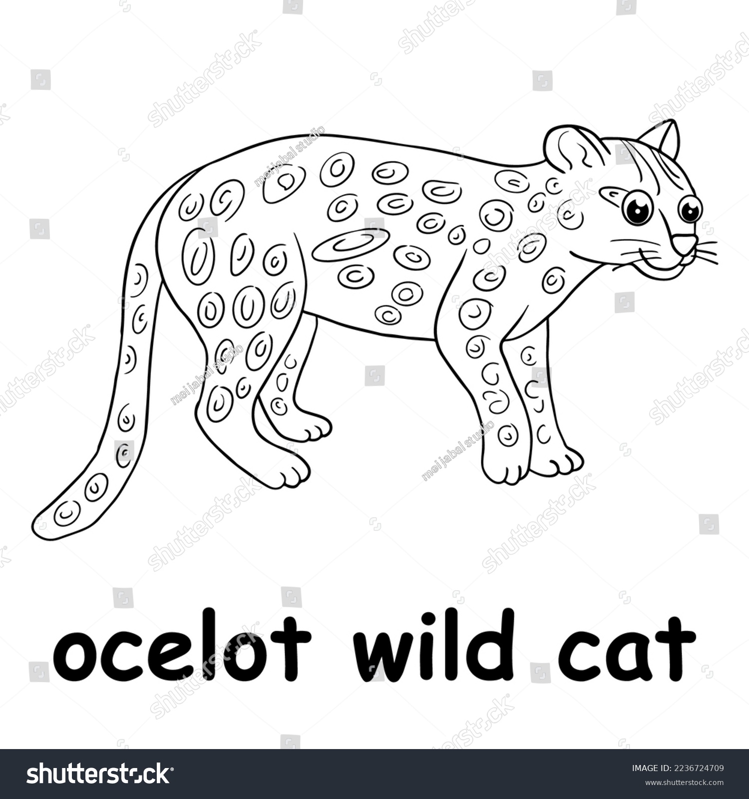 Kids line illustration coloring ocelot wild stock vector royalty free