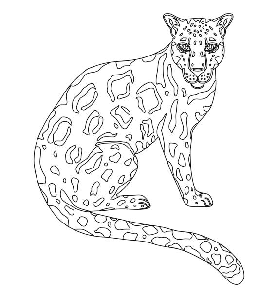 Vector illustration of outline clouded leopard stock illustration