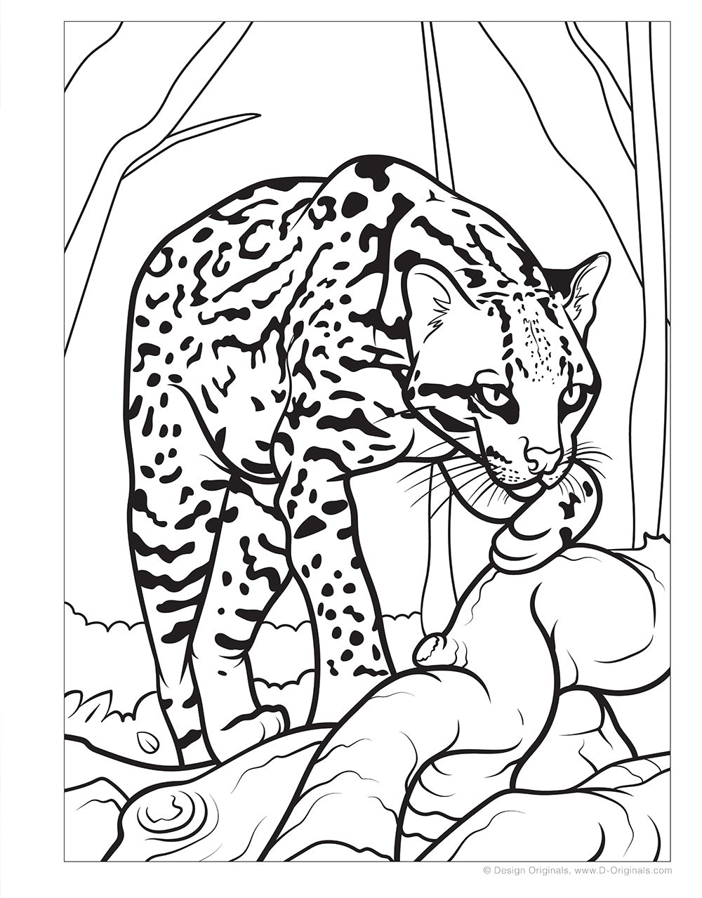 Great amazon rainforest coloring book with stickers â fox chapel publishing co