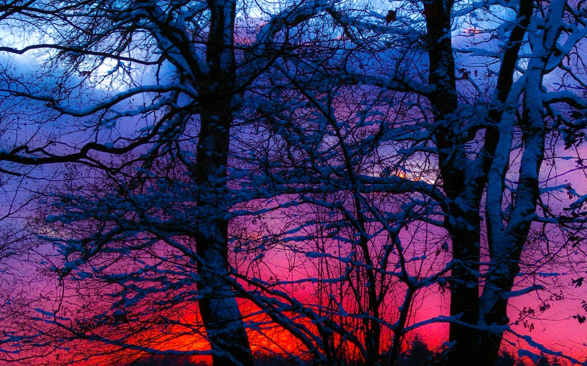 Wallpaper x px landscape snow sunset trees winter x