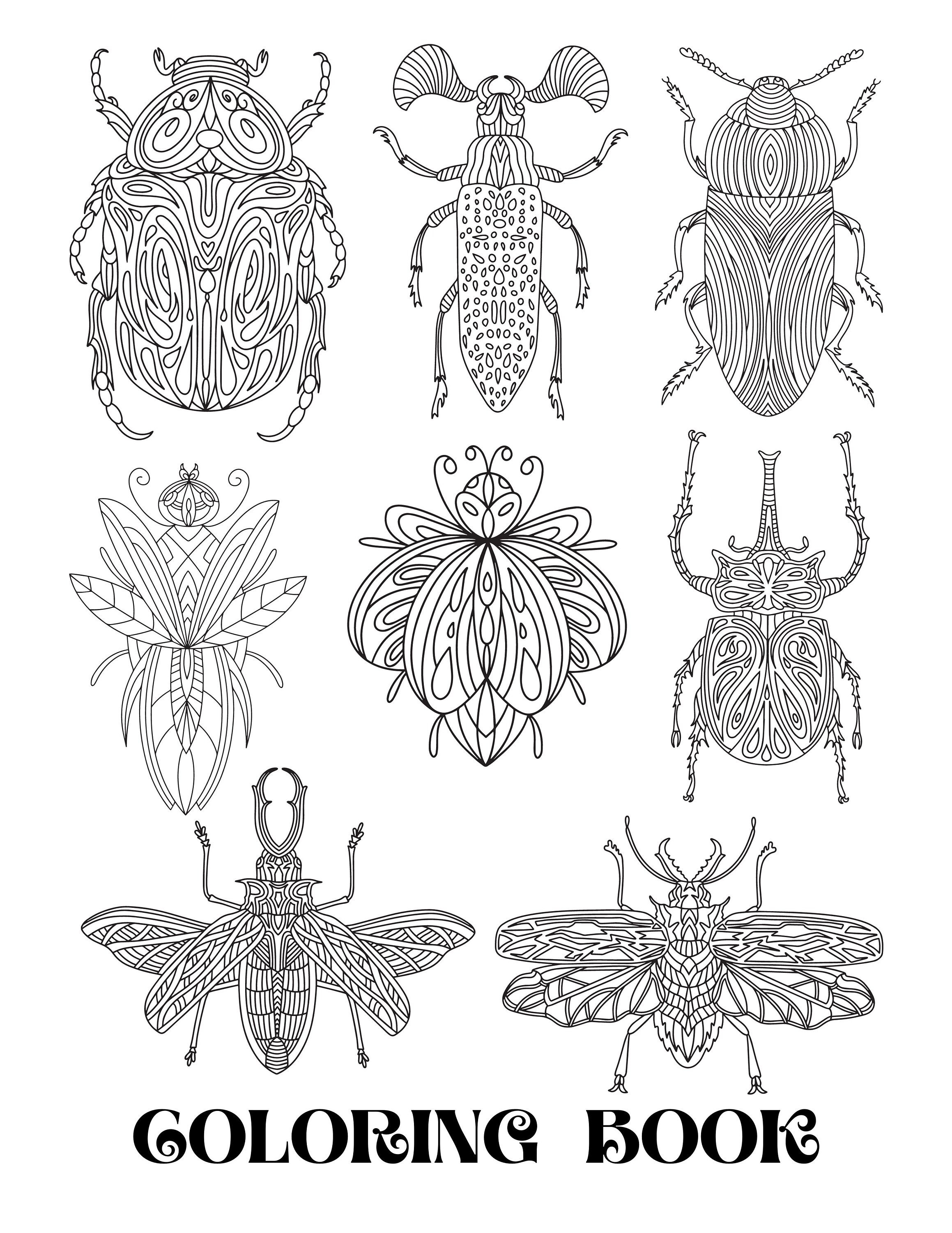 Bugs and insects children adult coloring pages digital coloring pages printable pdf download instant download