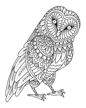 Owl coloring pages images â browse photos vectors and video