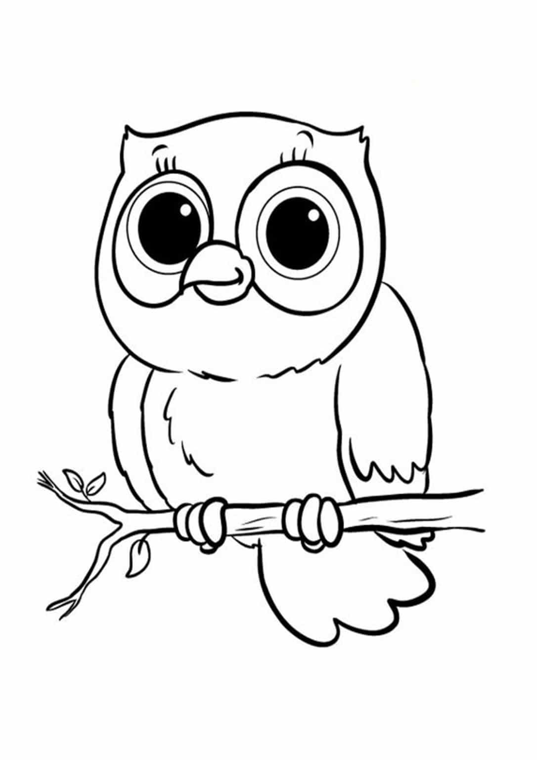 Free easy to print owl coloring pages owl coloring pages animal coloring pages easy coloring pages