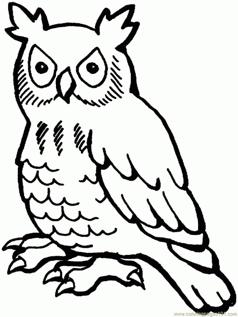 Free printable owl coloring pages for kids coloriage dessin broderie point de croix