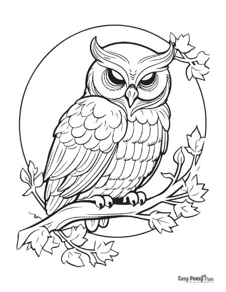 Owl coloring pages â printable sheets