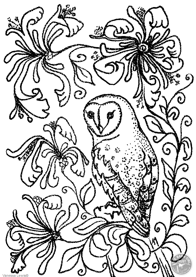 Barn owl and flowers colouring page