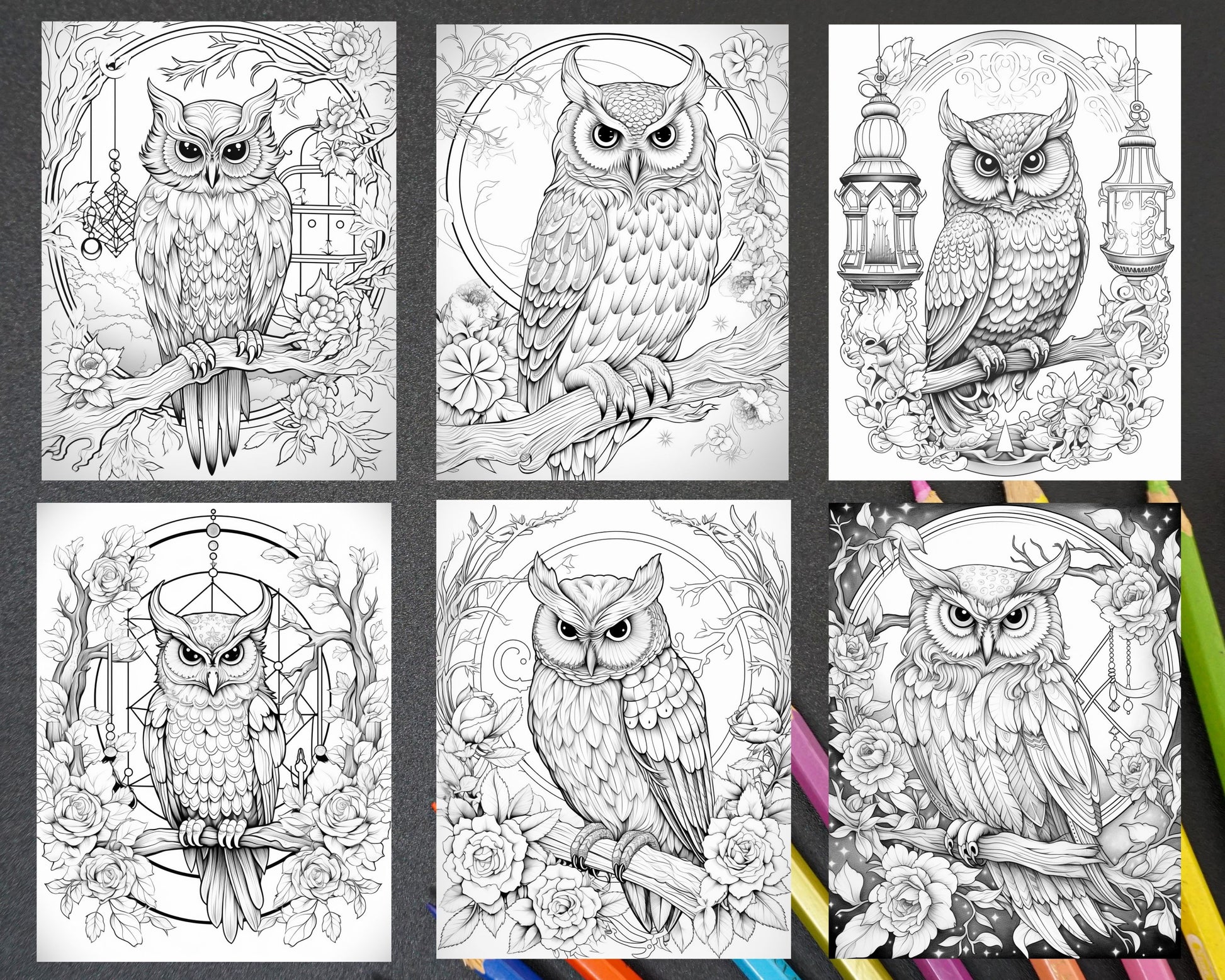 Floral owl grayscale printable coloring pages for adults pdf file â coloring
