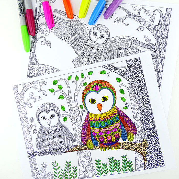 Owl colouring pages for grown ups