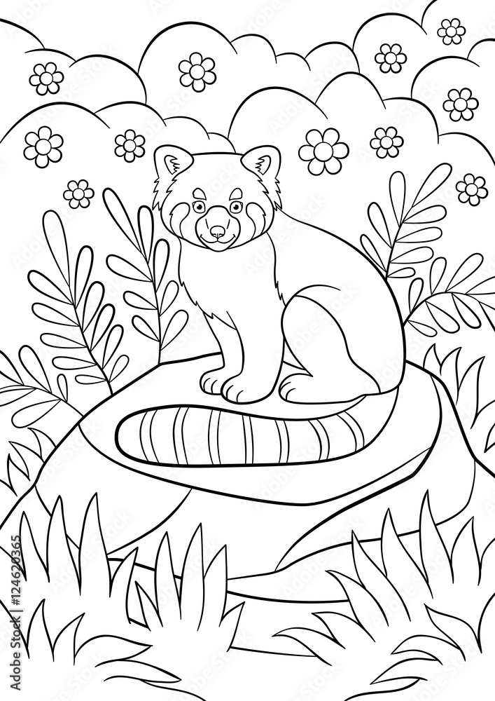 Coloring pages little cute red panda smiles vector