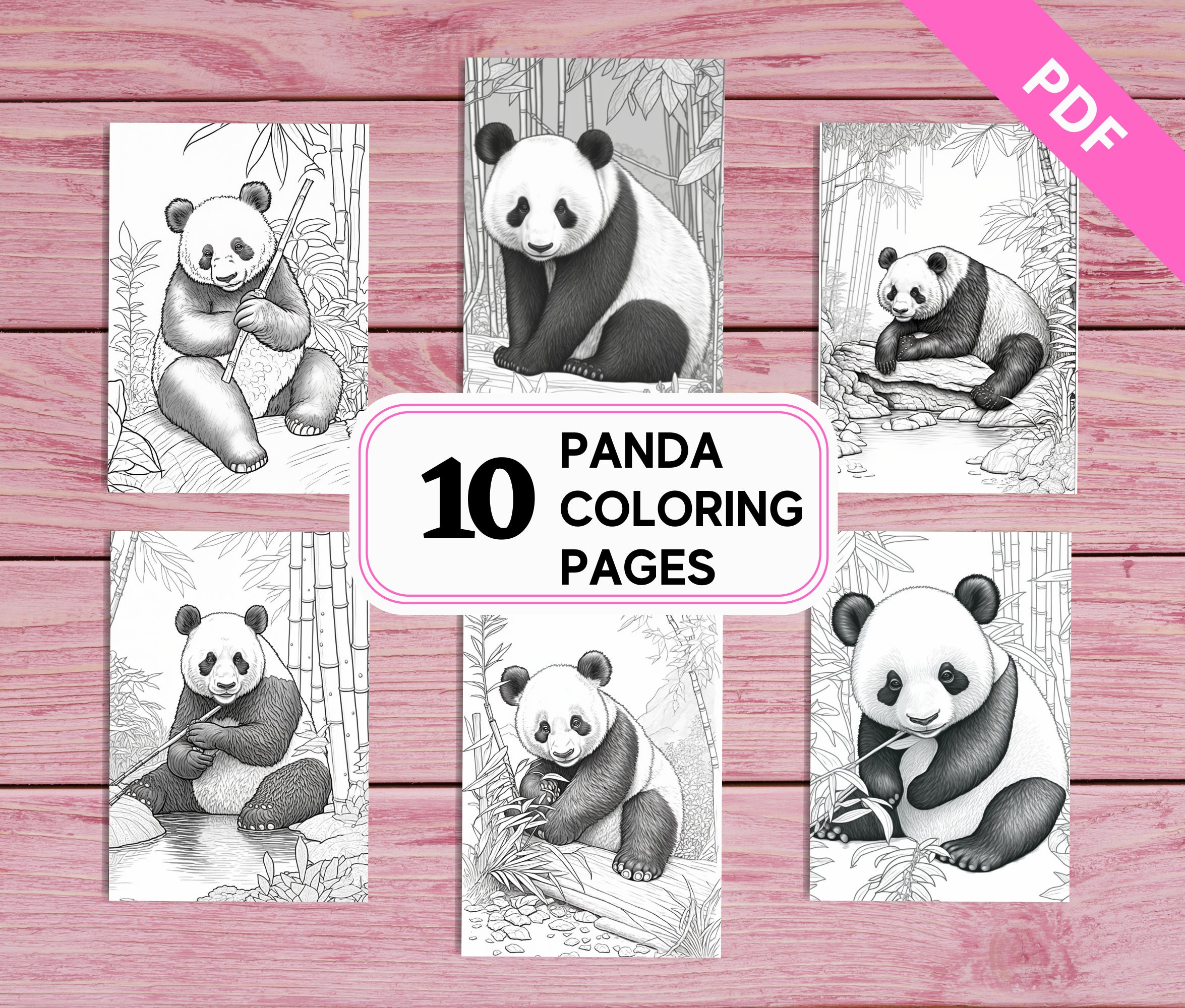 Panda realistic coloring pages for kids and adults printable pdf pages a instant download greyscale colouring sheets