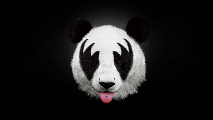 Kiss panda wallpaper