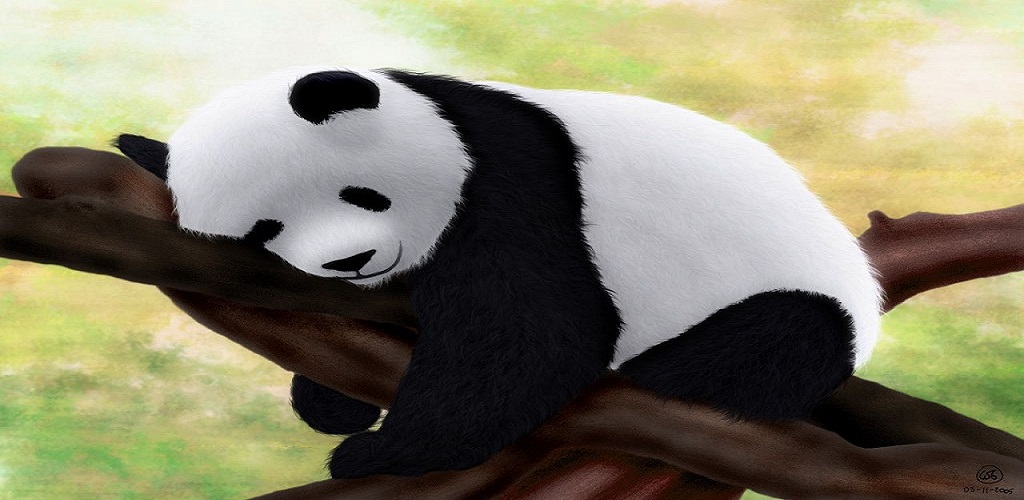 Cute panda hd wallpapersappstore for android