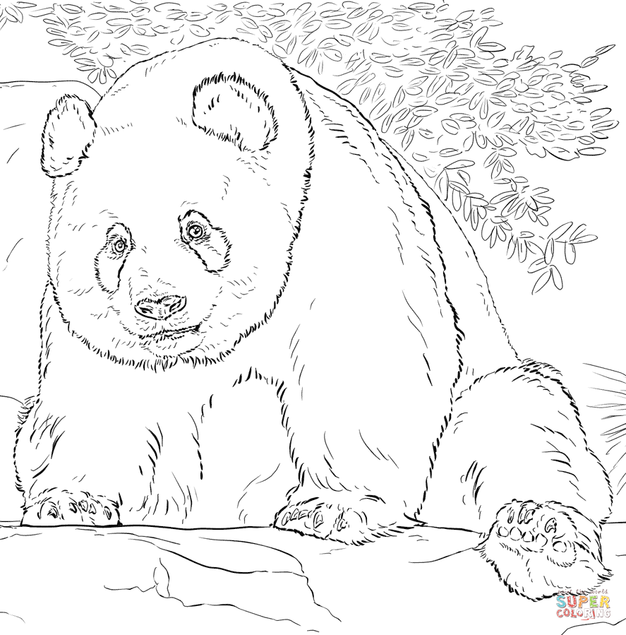 Giant panda coloring page free printable coloring pages