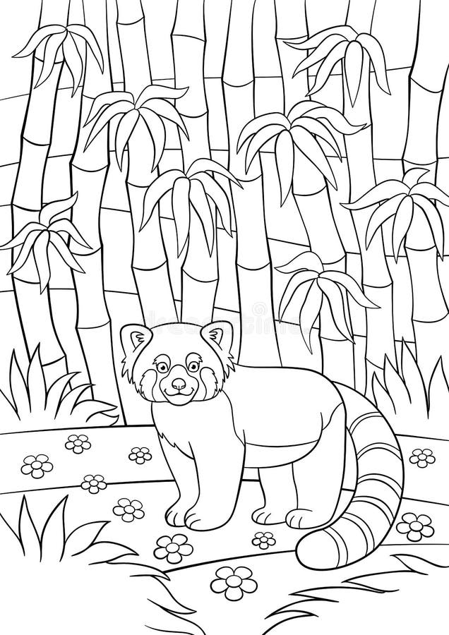 Red panda coloring page stock illustrations â red panda coloring page stock illustrations vectors clipart