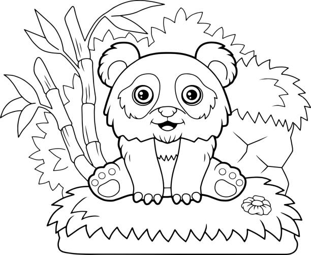 Panda bear coloring pages stock illustrations royalty