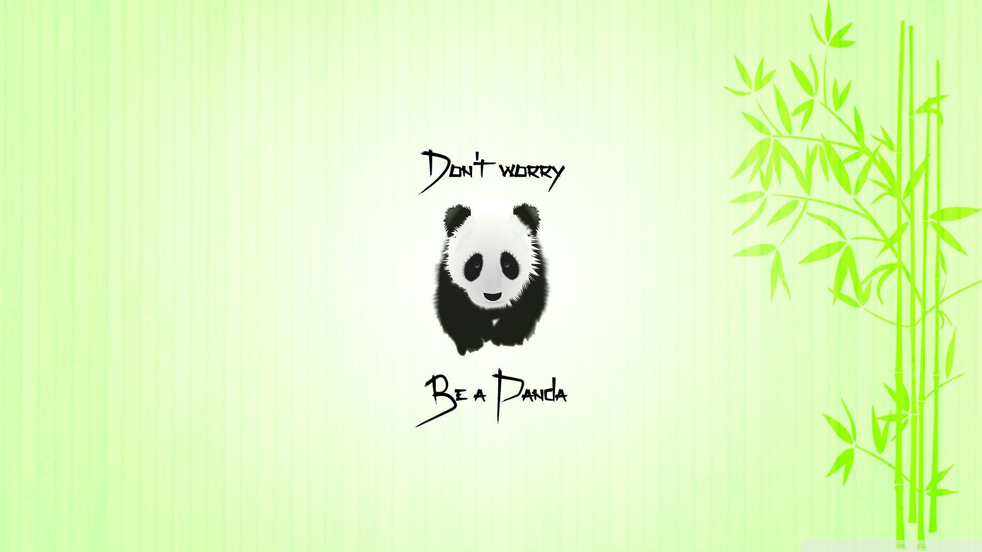 Hd panda wallpapers