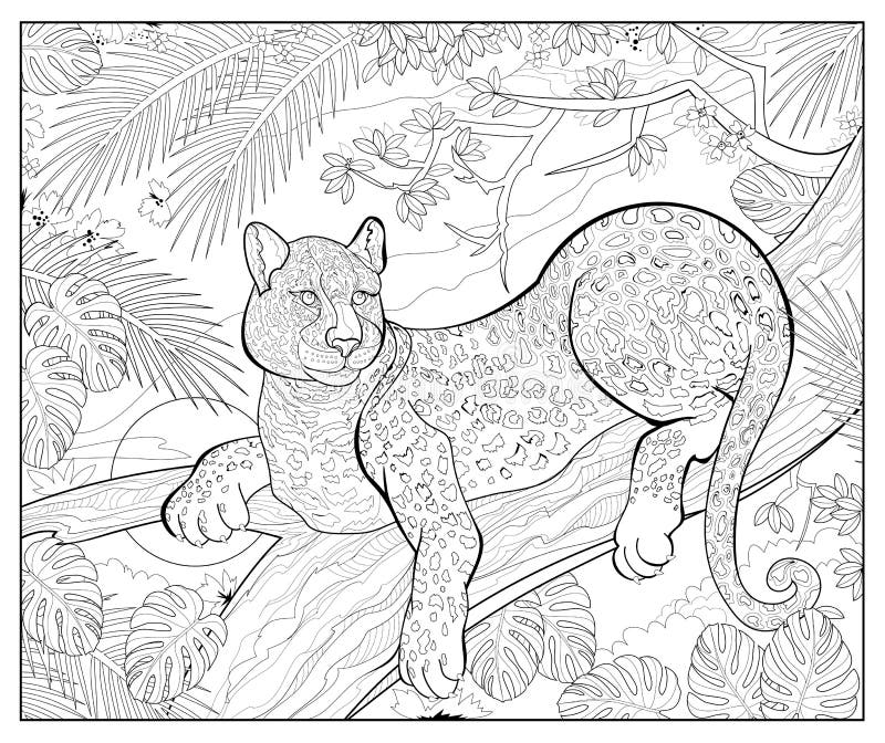 Coloring book leopard stock illustrations â coloring book leopard stock illustrations vectors clipart