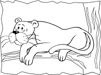 Leopards coloring pages and printable activities