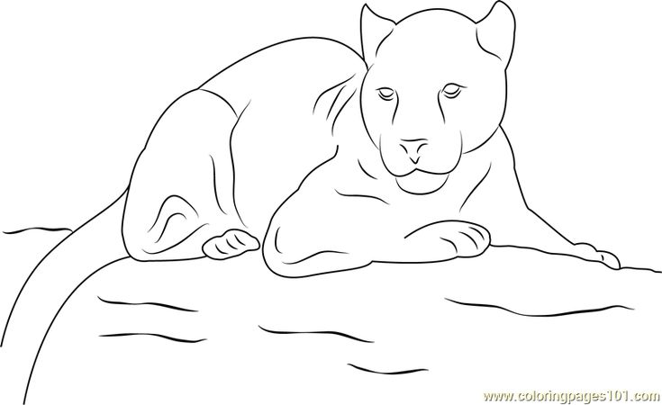 Panther look printable coloring page for kids and adults coloring pages children sketch panther pictures