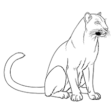 Printable panther coloring pages your toddler will love