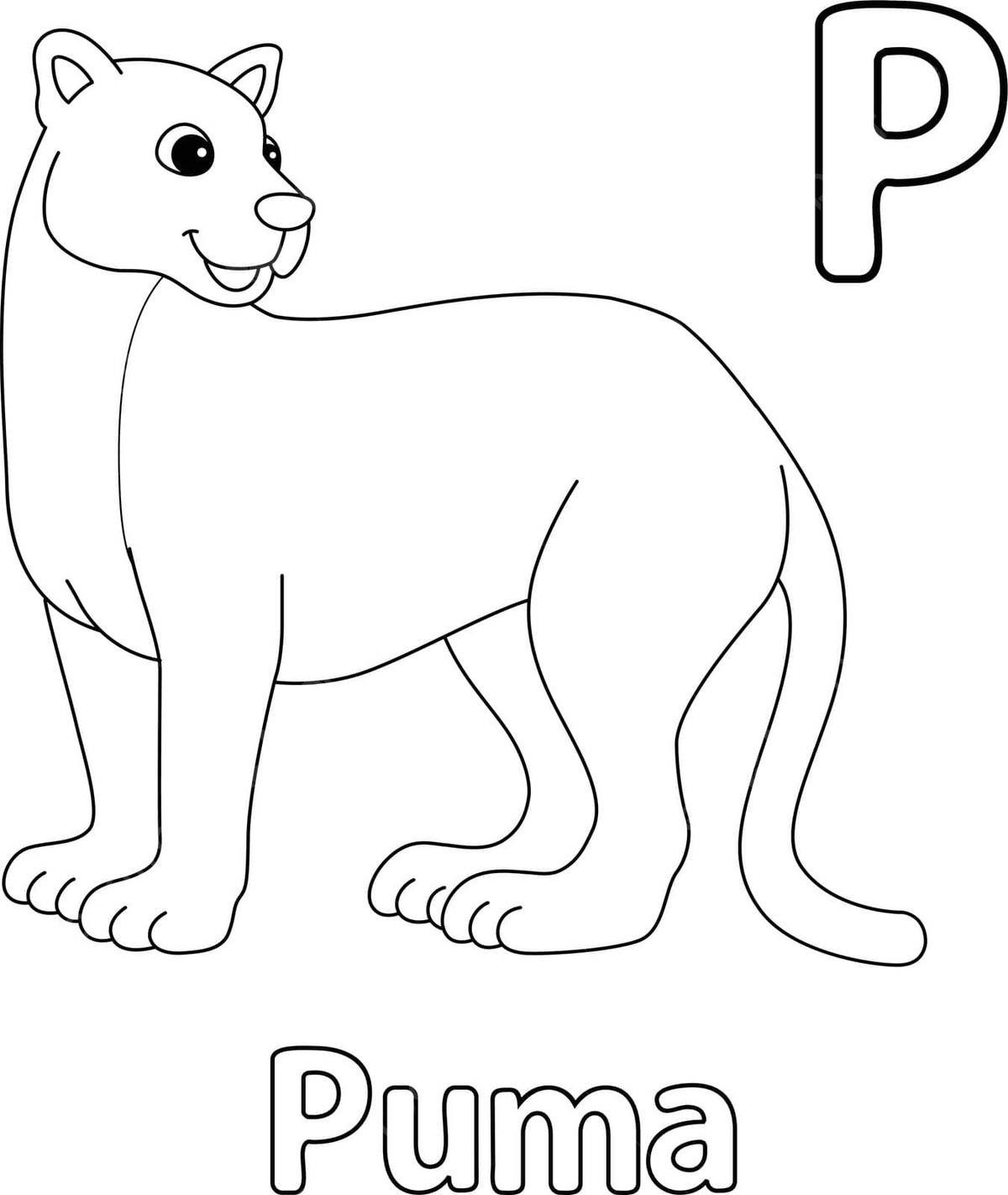 Isolated coloring page of puma for animal alphabet abcletter p vector color safari education png and vector with transparent background for free download