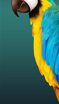 Best parrot iphone hd wallpapers