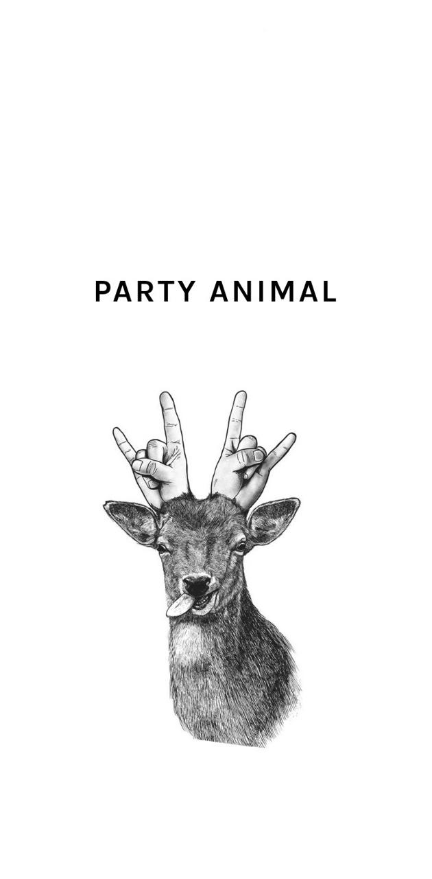 Party animal wallpaper by malakopitouras