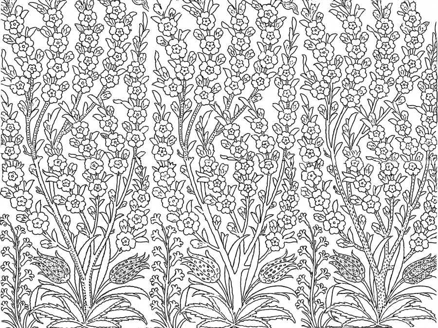 Blog coloring pages