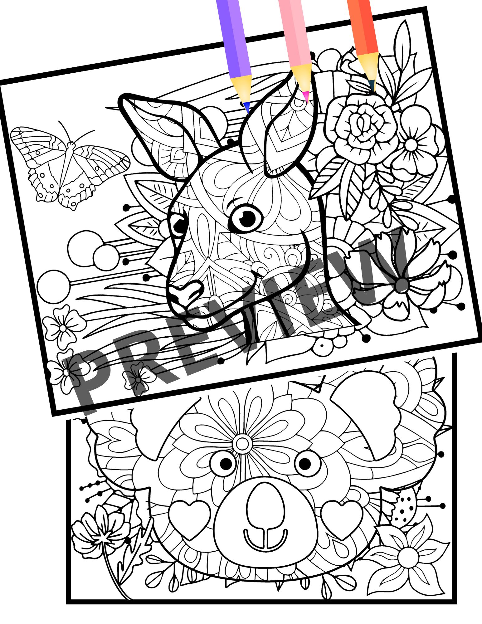 Australian animals mindfulness coloring pages