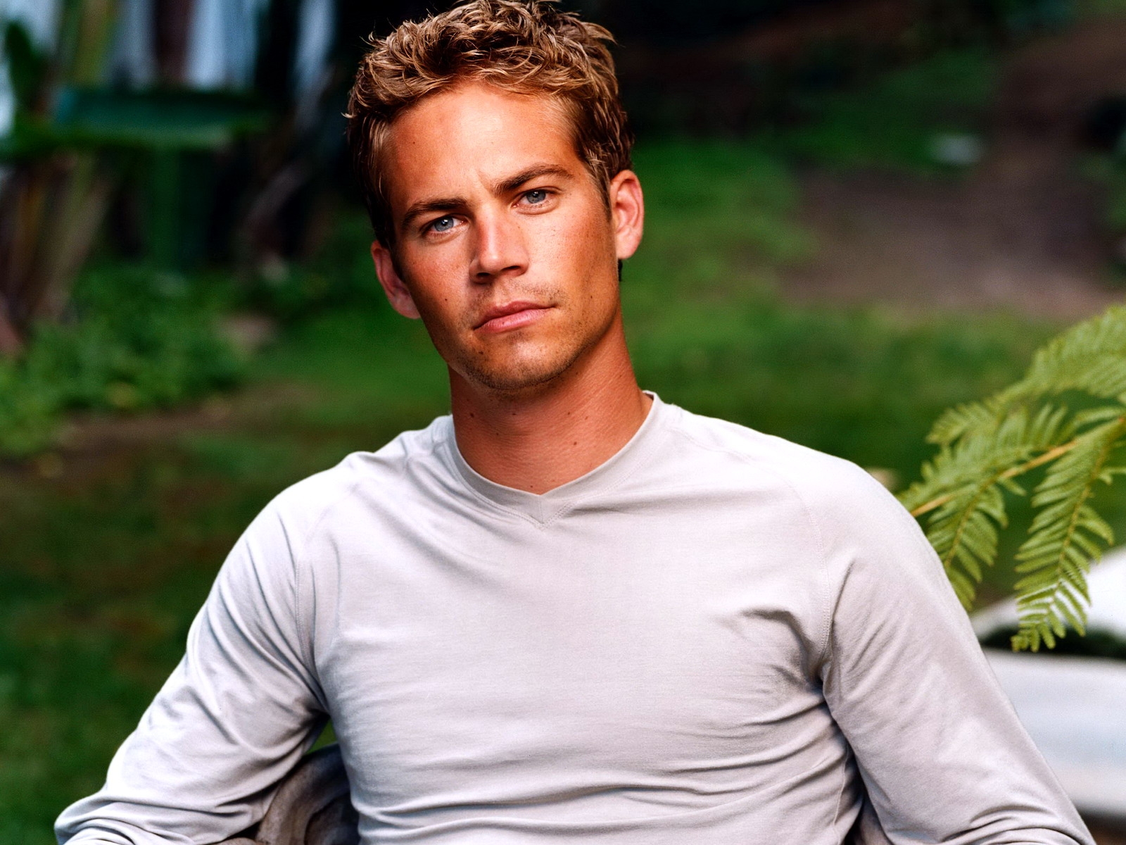 Wallpaper paul walker boy brunette actor curly haired t shirts nature x