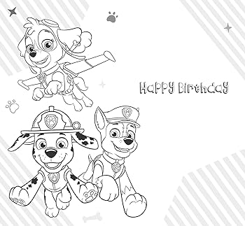 Paw patrol official age birthday card youre today office products