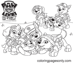 Rocky paw patrol coloring pages printable for free download