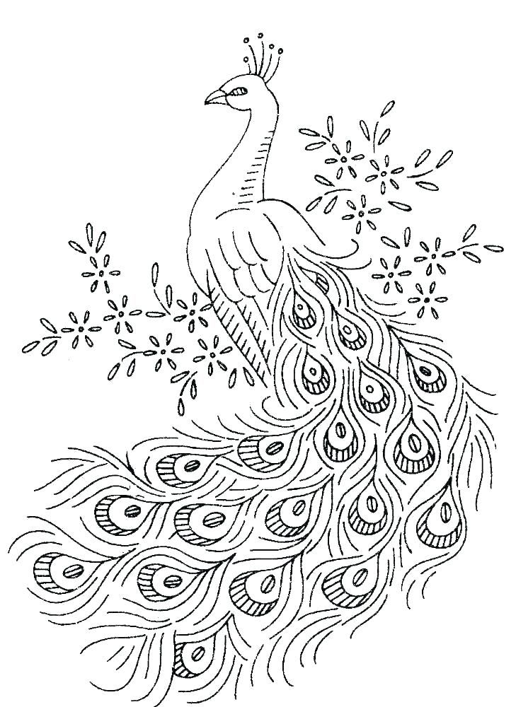 Free printable peacock coloring pages for kids vintage embroidery transfers vintage embroidery embroidery patterns vintage