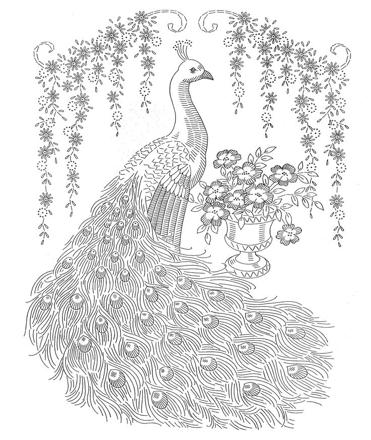 Peacock colorg pages vtage embroidery embroidery patterns